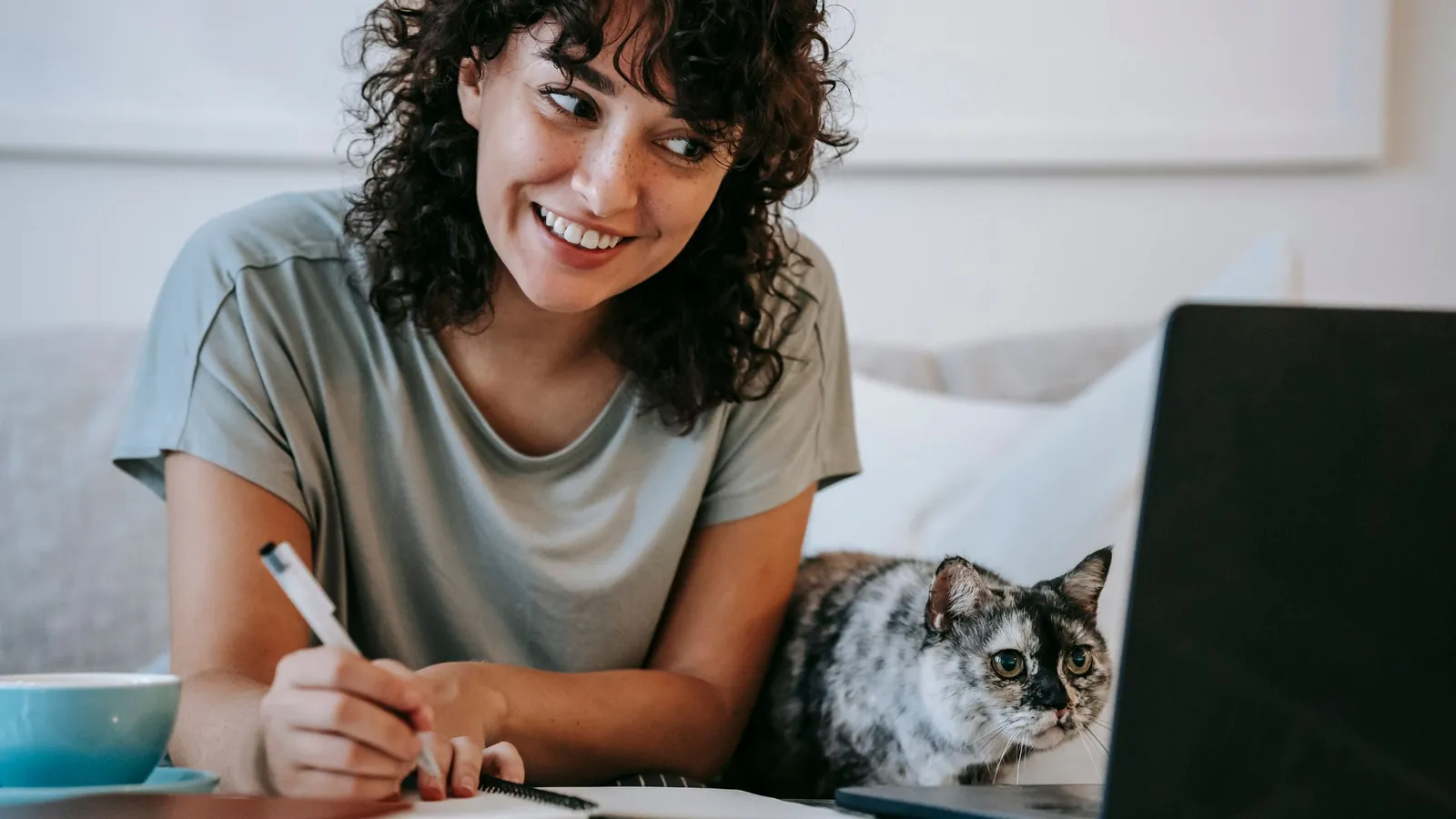 Is Pet Insurance Worth It? A St. Pete Vet's Honest Guide