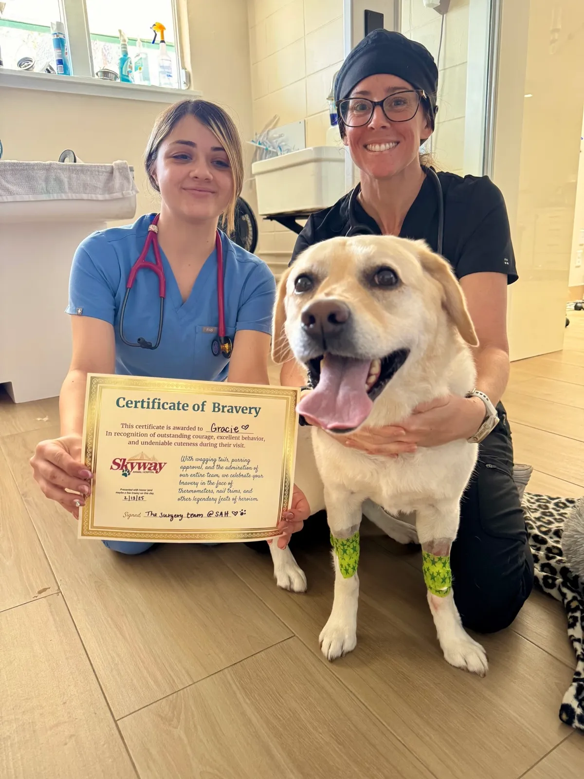 Skyway Animal Hospital team members with a happy patient holding a Certificate of Bravery