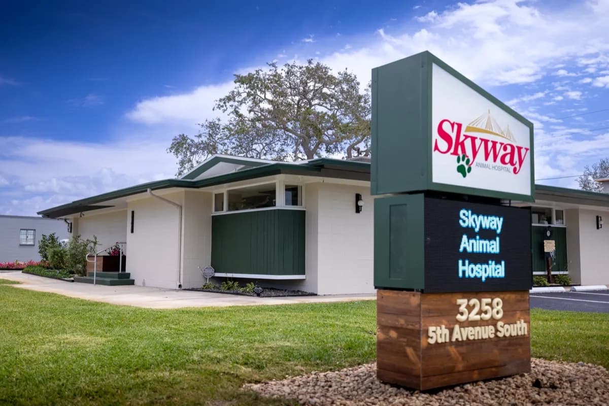 Skyway Animal Hospital exterior - located at 3258 5th Ave S, St. Petersburg