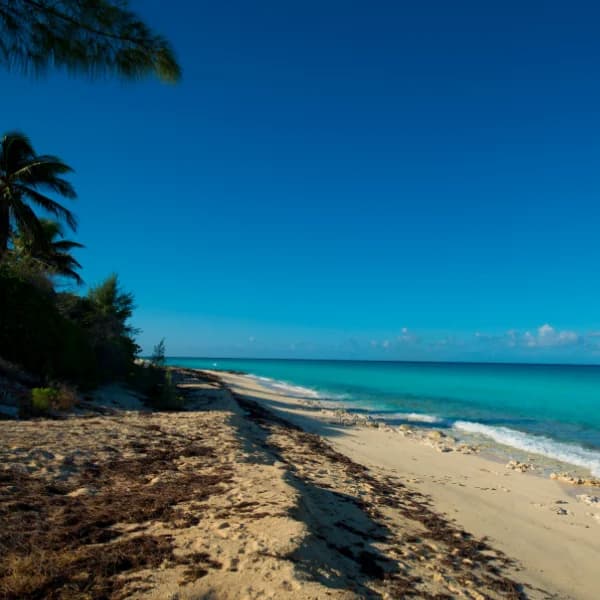 Weedon Island Preserve