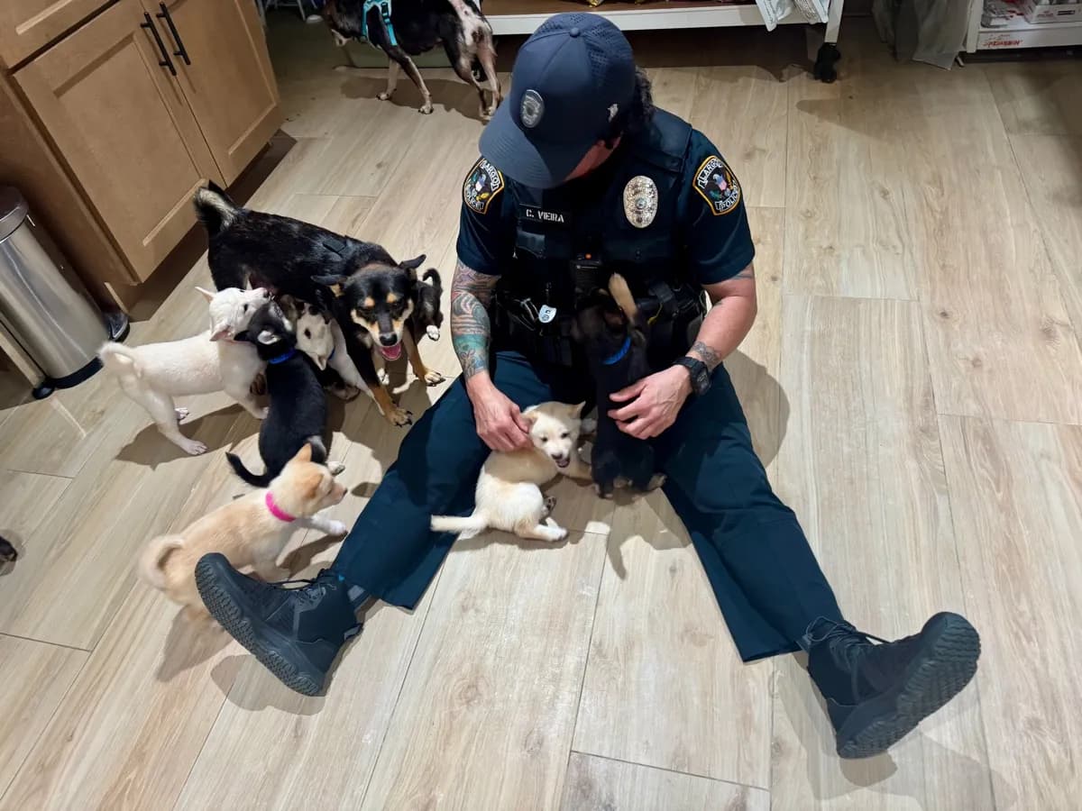 Frosty enjoying treats after checkup