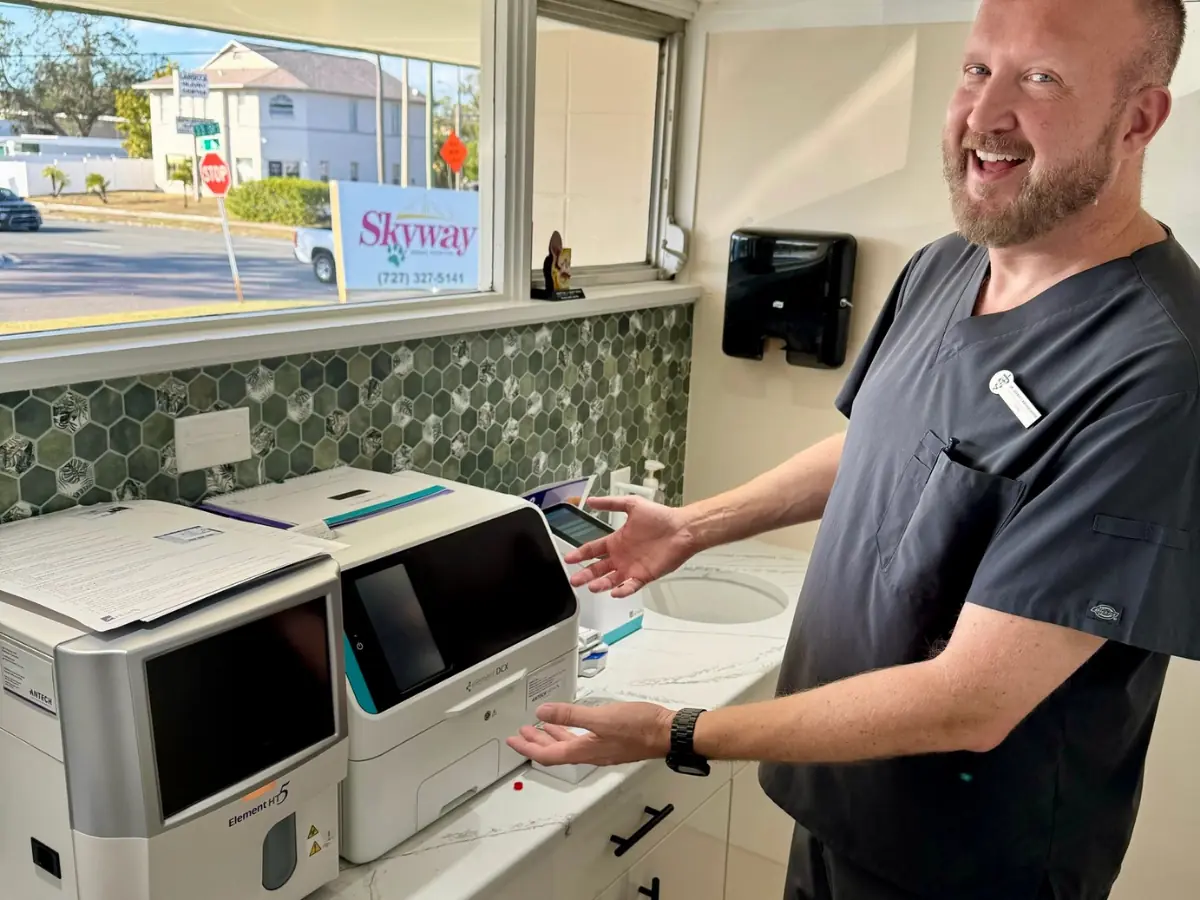 Veterinarian reviewing diagnostic results with advanced lab equipment