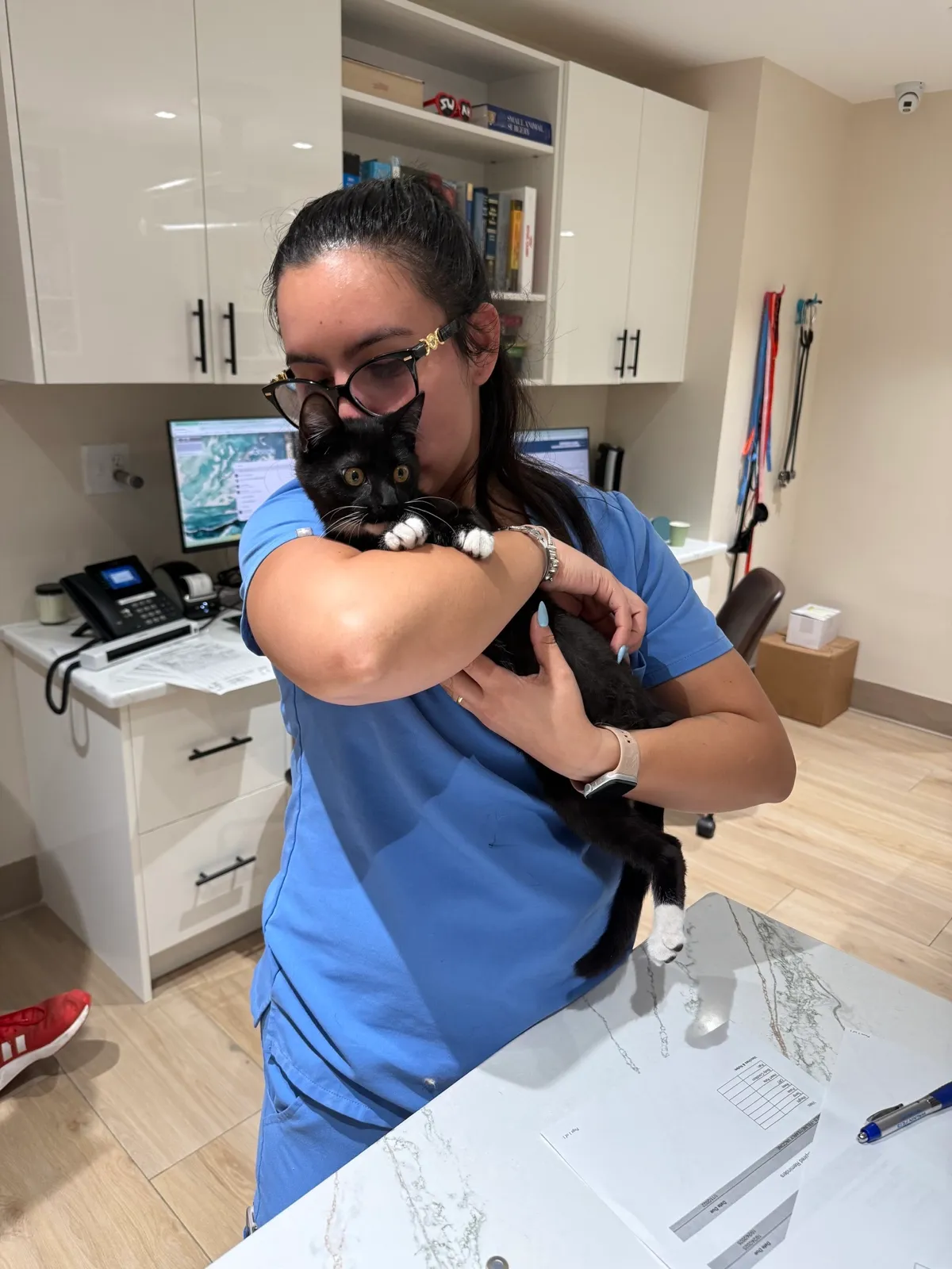Our caring staff with a feline patient